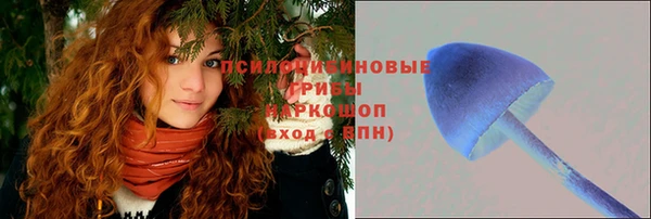МДПВ Абаза