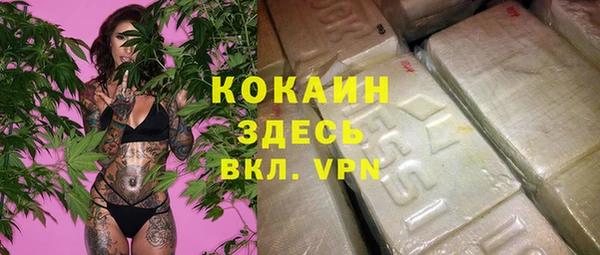 МДПВ Абаза