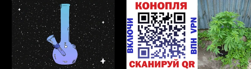 Конопля сатива  omg ссылки  Нелидово 